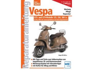 P&W Reparatur- und Wartungsanleitung #5293 Vespa GTS 250/300 (2006)