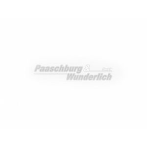 P&W Vergaser-Membran-Schieber Yamaha VCC-233